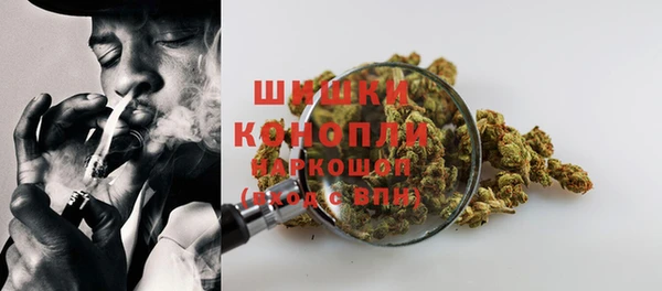 трава Арсеньев