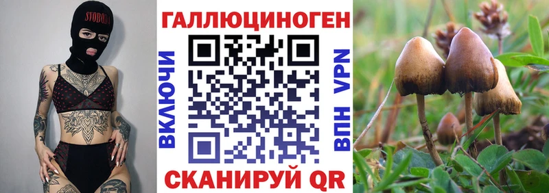 Купить закладки  Камбарка  Галлюциногенные грибы MAGIC MUSHROOMS 